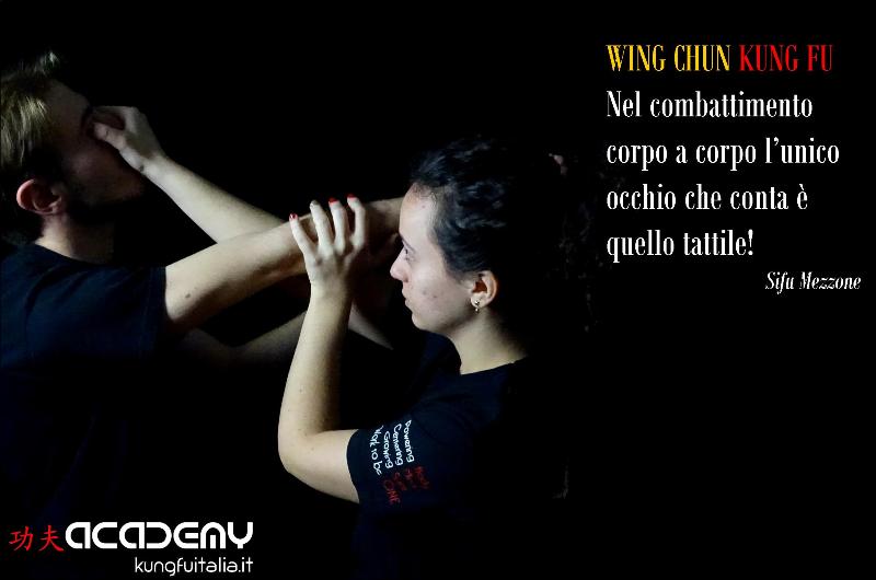 Kung Fu Academy Caserta di Sifu Salvatore Mezzone Accademia di Wing Chun e Tai Chi Quan (1)